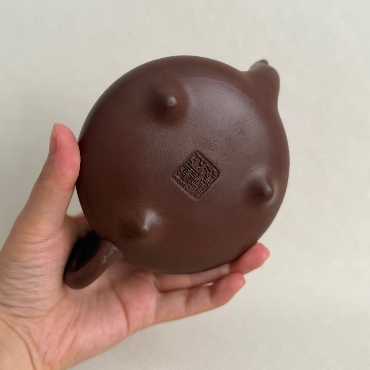 Original Ore Di Cao Qing Han Tang Shipiao Yixing Teapot by Master Dong Yaqin – Handmade, 260ml