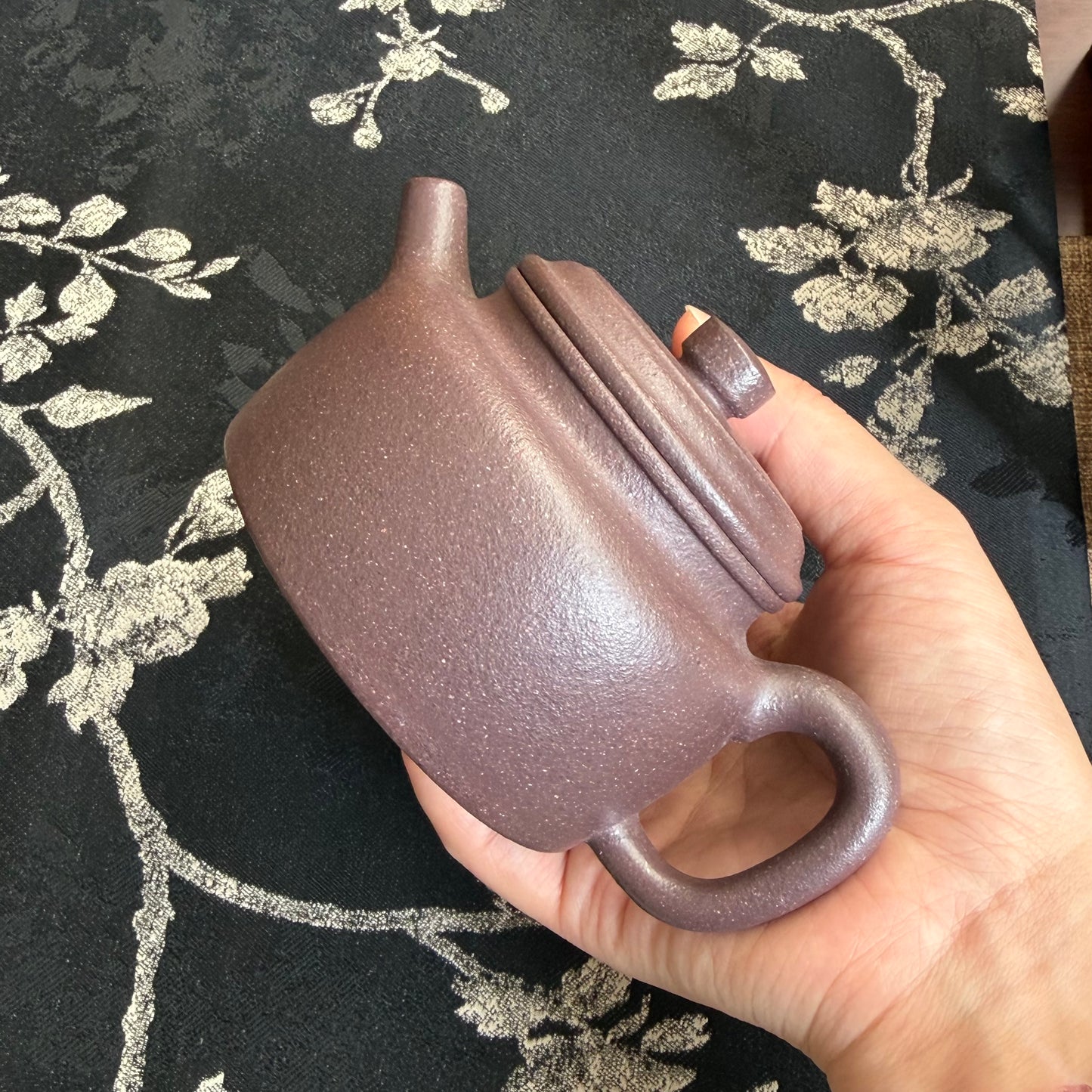 DeZhong Teapot by Master Xia Chuanyue - Fully Handmade｜TianQingNi Clay 180ml